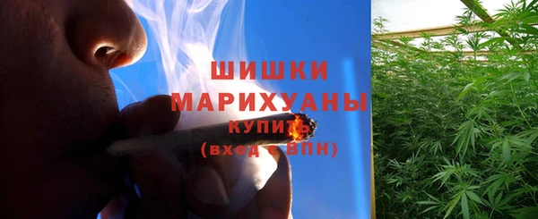 ГАЛЛЮЦИНОГЕННЫЕ ГРИБЫ Новокубанск