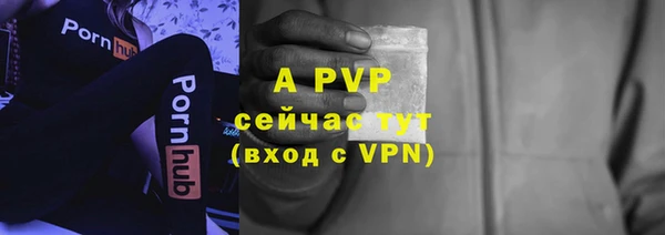 apvp Новодвинск