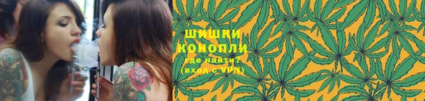 гидропоника Новозыбков