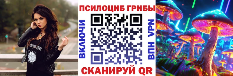 Галлюциногенные грибы Magic Shrooms купить цена Полярные Зори